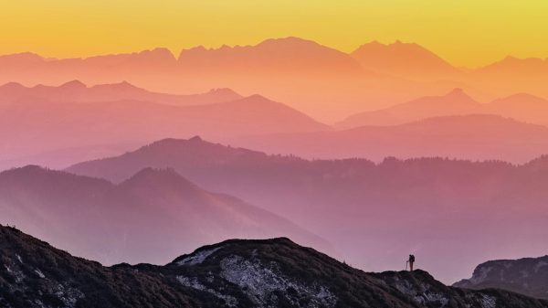 Innovation and Transformation: What it will take to finance net zero